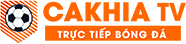 xe may vinfast